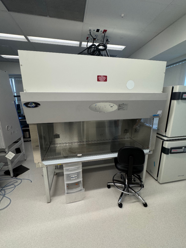 Image of Nuaire Class II type A2 6' BioSafety Cabinet